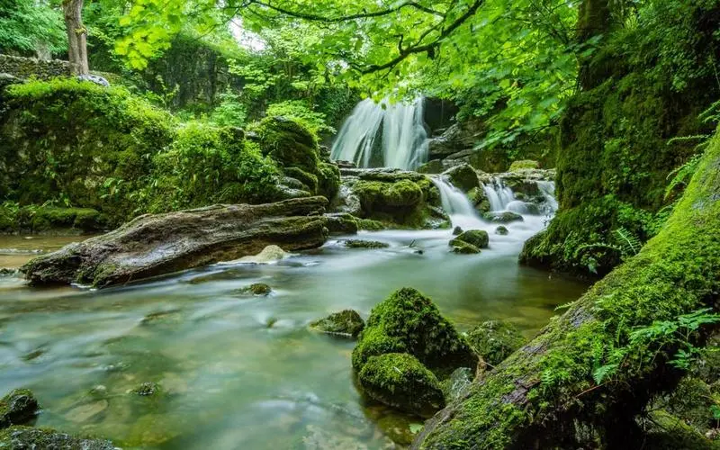 高性能稳定性高效